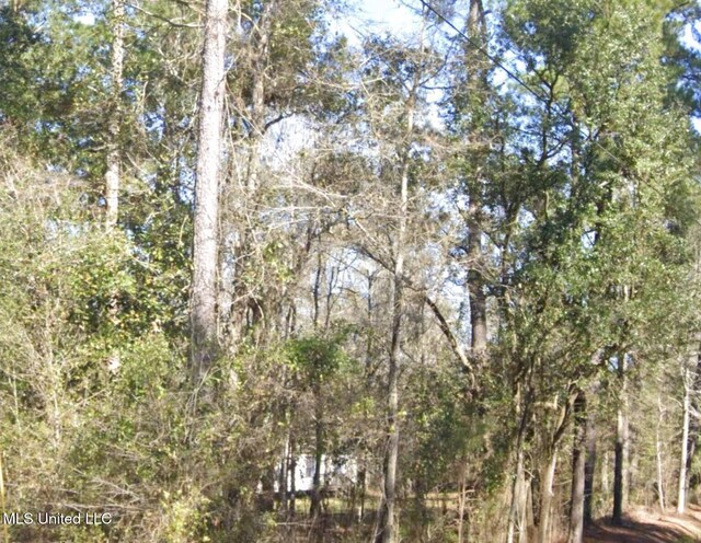 Whites Rd, Pearlington, MS 39572