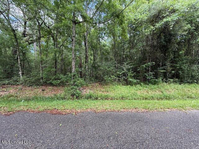 Whites Rd, Pearlington, MS 39572