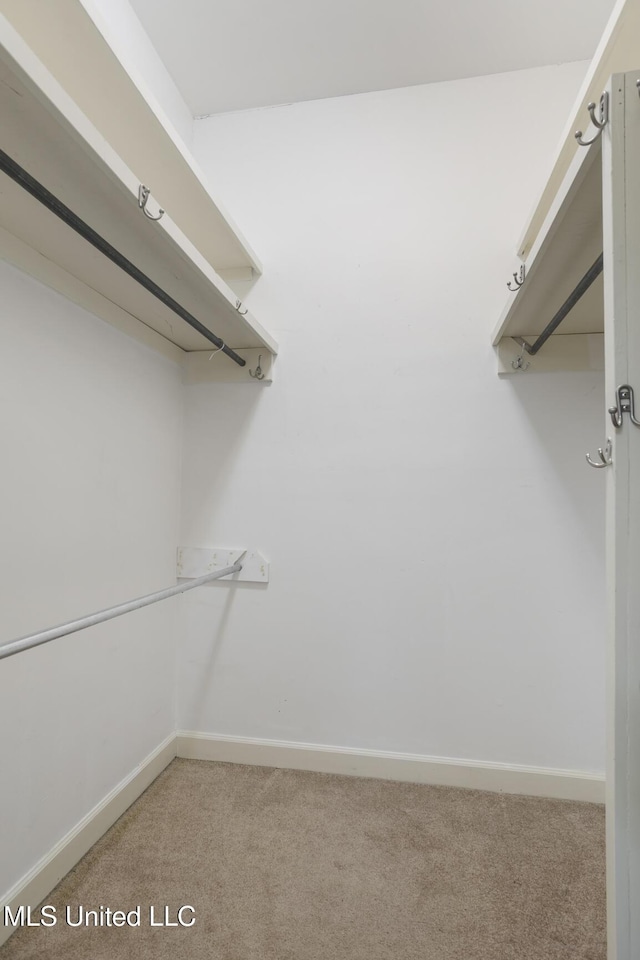 walk in closet featuring light carpet