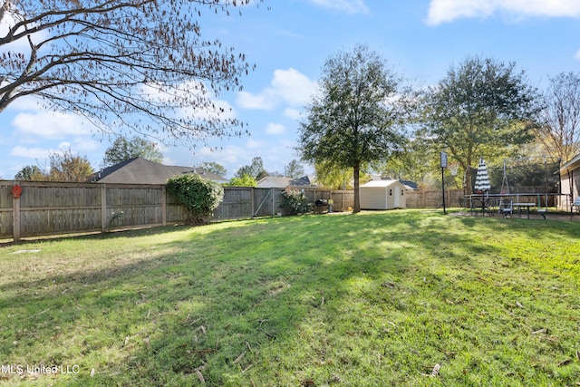 view of yard with a storage unit and a trampoline