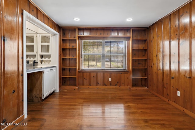 interior space featuring built in shelves, dark wood-style flooring, wood walls, and a sink