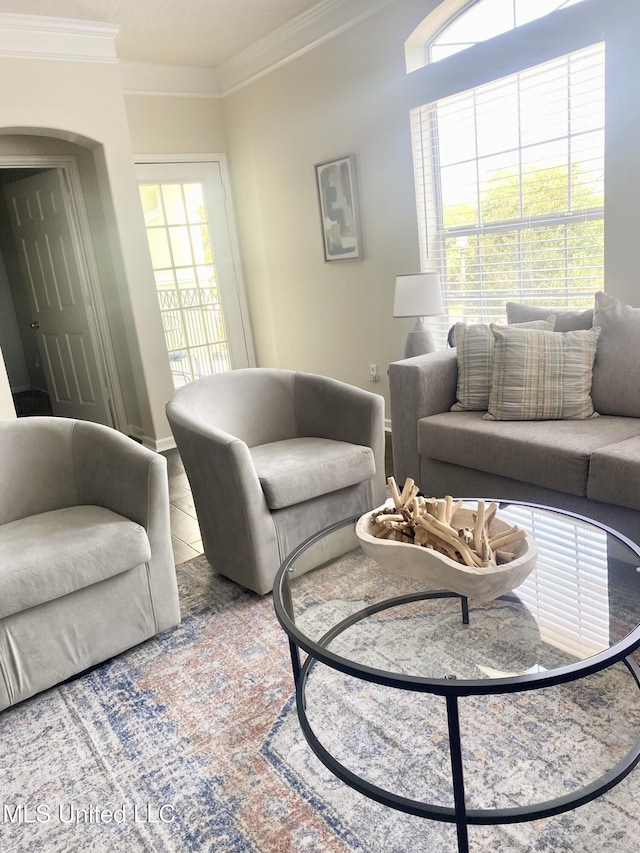 2252 Beach Dr Unit 203, Gulfport, MS 39507 - living area featuring ornamental molding and plenty of natural light