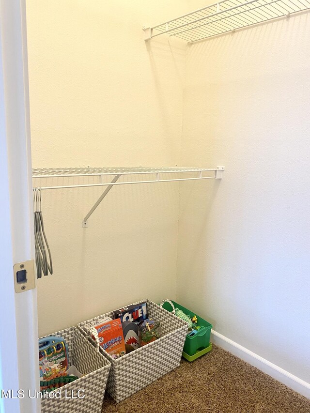 2252 Beach Dr Unit 203, Gulfport, MS 39507 - walk in closet with carpet flooring
