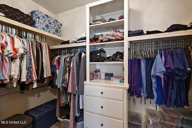 view of walk in closet