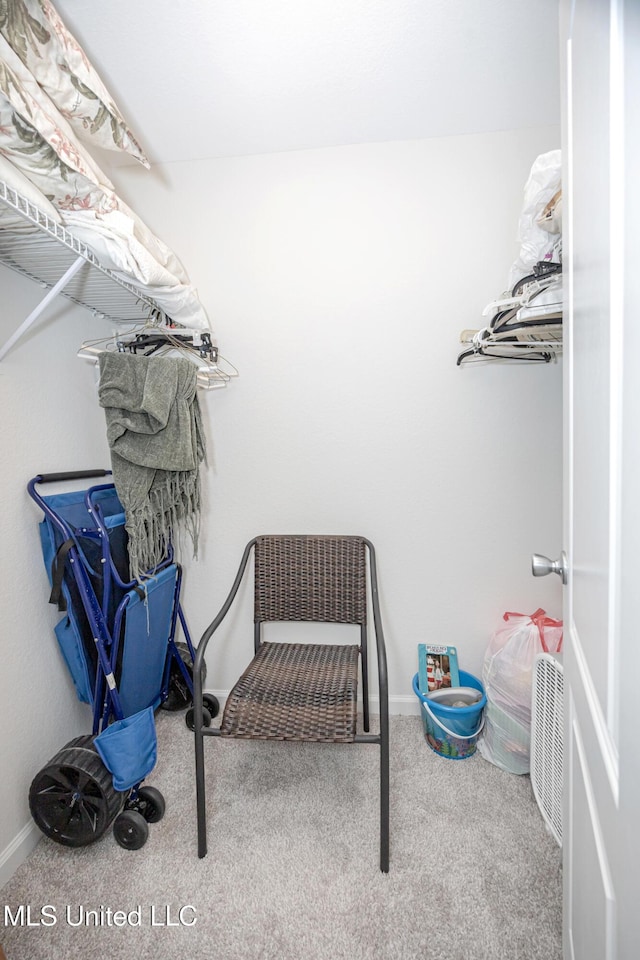 3230 Cumberland Rd Unit 18, Ocean Springs, MS 39564 - spacious closet featuring carpet floors