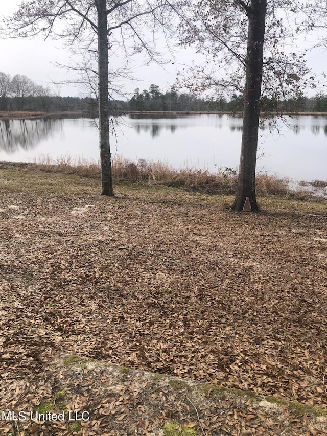 Listing photo 3 for NE Savannah Millard Rd, Poplarville MS 39470