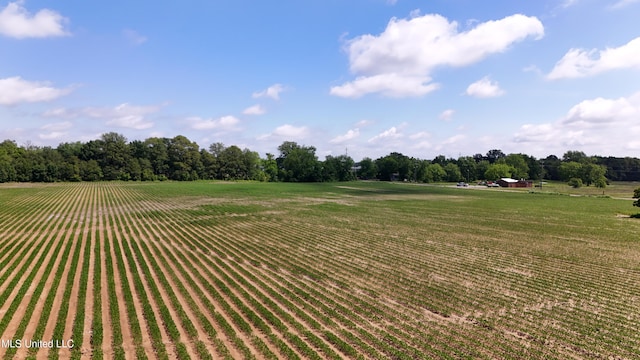 Pearman Rd, Cleveland, MS 38732
