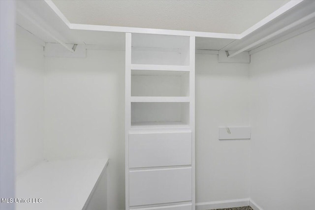 view of walk in closet