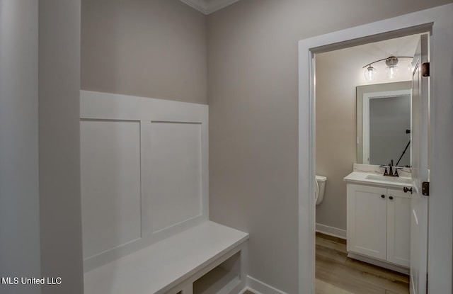 mudroom with light hardwood / wood-style flooring and sink