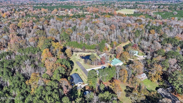 148 Stanton Hall Dr, Florence, MS 39073 - aerial overview of property's location featuring a heavily wooded area