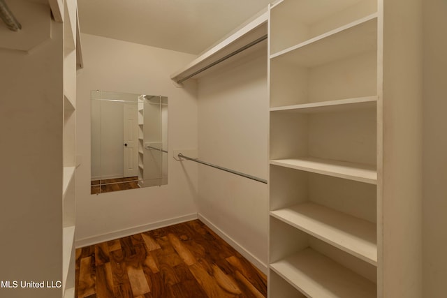 spacious closet with dark wood-style flooring