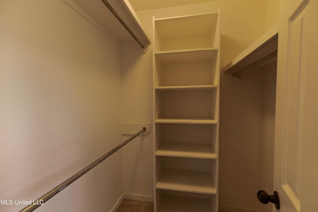 view of spacious closet