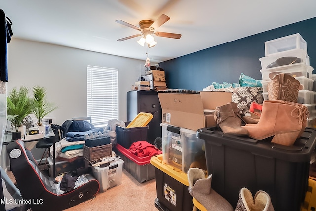 storage featuring ceiling fan