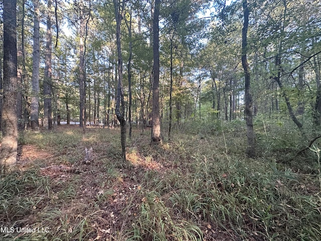 0 Gates Cv, Madison, MS 39110