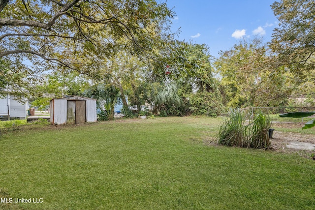 view of yard featuring a storage unit