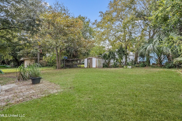 view of yard with a shed