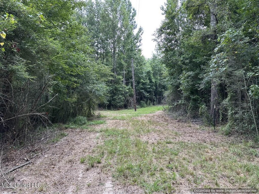 Stoval Ln, Summit, MS 39666