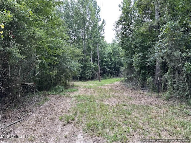 Stoval Ln, Summit, MS 39666