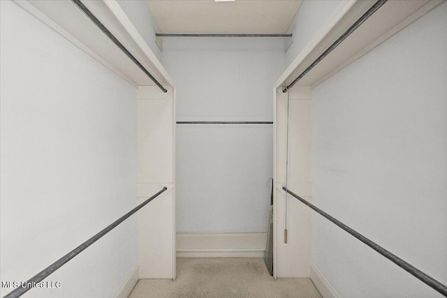 spacious closet with light colored carpet