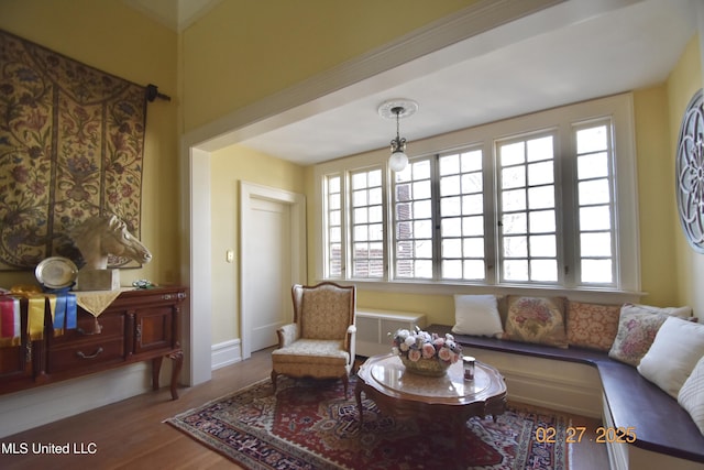 sitting room featuring radiator heating unit, baseboards, a wealth of natural light, and wood finished floors