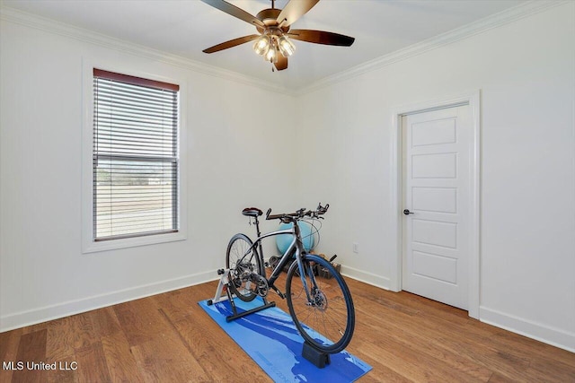 workout room featuring ceiling fan, wood-type flooring, and crown molding