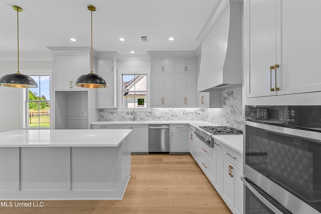 kitchen featuring custom exhaust hood, white cabinetry, a healthy amount of sunlight, and stainless steel appliances