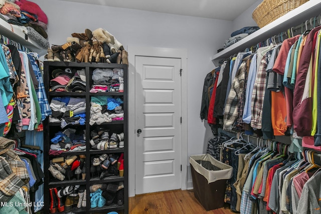 walk in closet featuring wood-type flooring