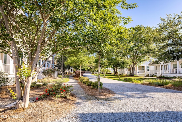 view of home's community