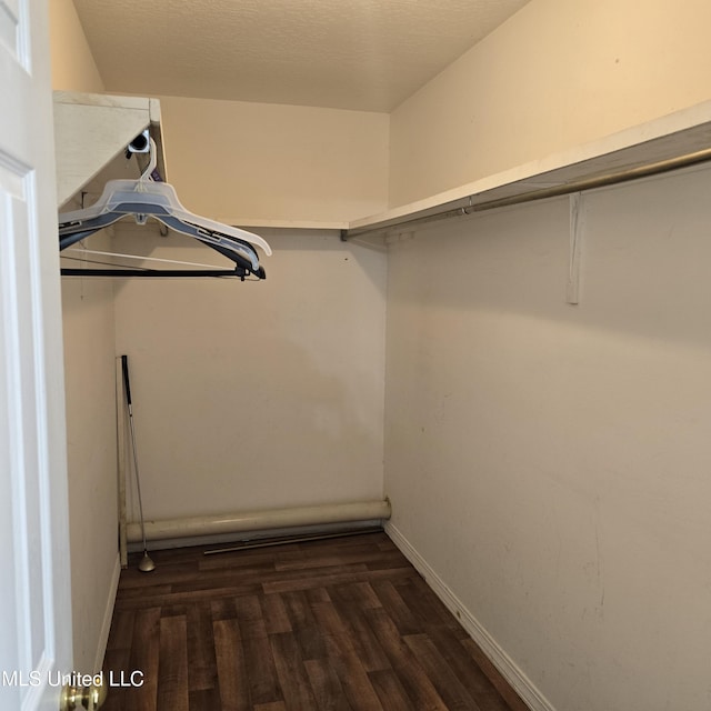 walk in closet with dark hardwood / wood-style flooring