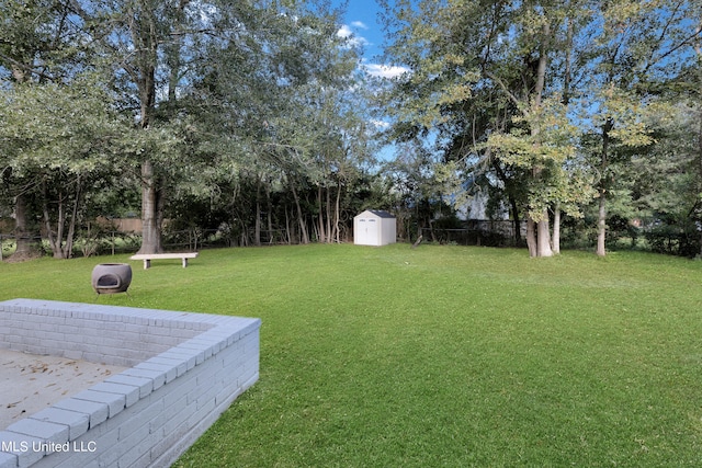 view of yard featuring a shed