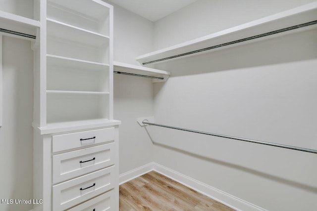 walk in closet with light wood-type flooring