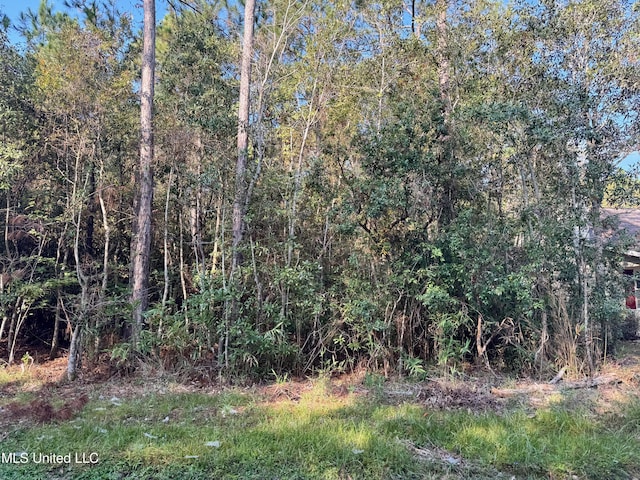 9968 Kahana St, Diamondhead, MS 39525