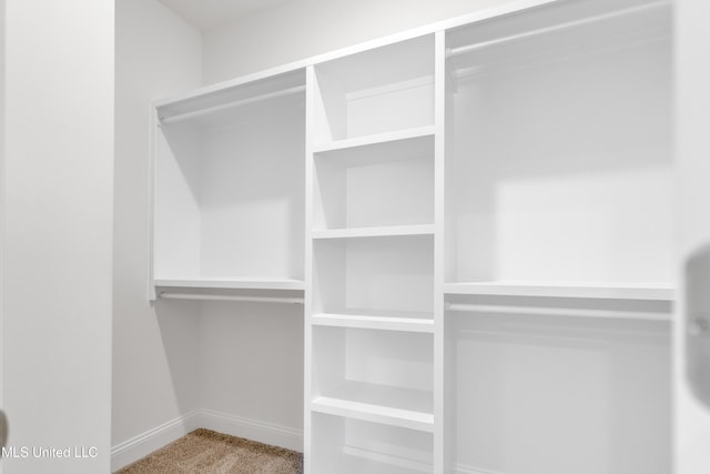 walk in closet featuring carpet floors