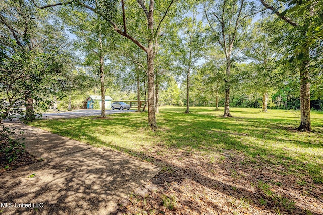 8113 Barron Rd, Moss Point, MS 39562 - view of green lawn