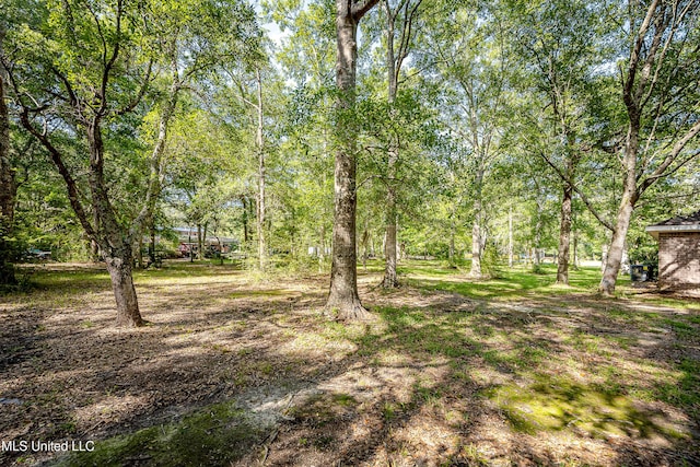 8113 Barron Rd, Moss Point, MS 39562 - view of yard