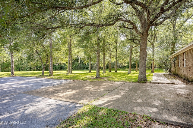 8113 Barron Rd, Moss Point, MS 39562 - view of grassy yard