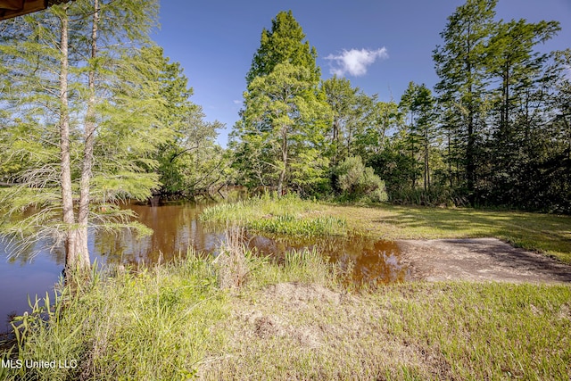 8113 Barron Rd, Moss Point, MS 39562 - view of woods featuring a water view
