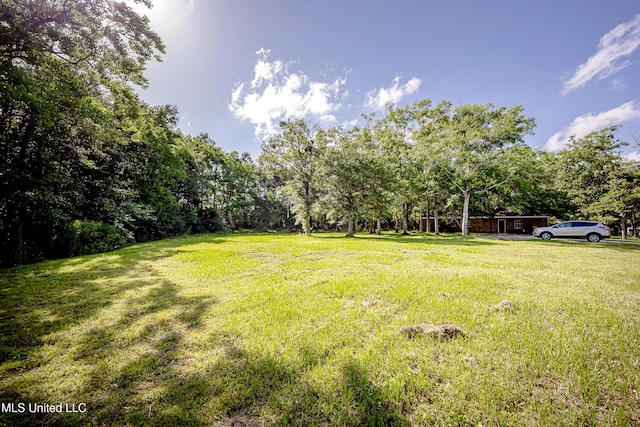 8113 Barron Rd, Moss Point, MS 39562 - view of grassy yard