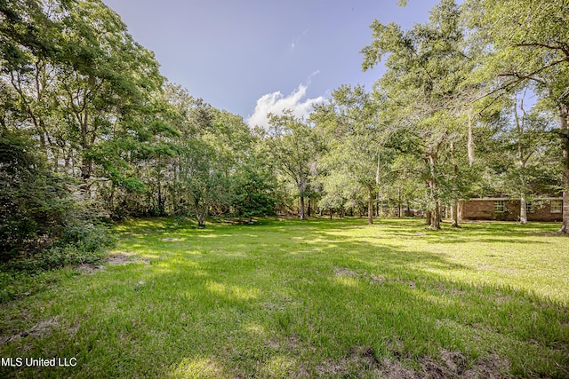 8113 Barron Rd, Moss Point, MS 39562 - view of grassy yard
