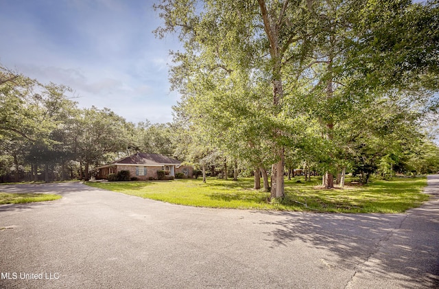 8113 Barron Rd, Moss Point, MS 39562 - view of road