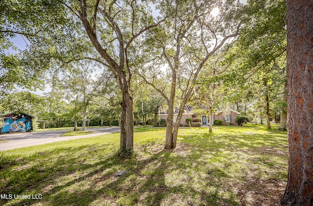 8113 Barron Rd, Moss Point, MS 39562 - view of green lawn