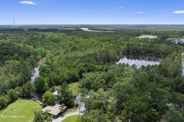 8113 Barron Rd, Moss Point, MS 39562 - view of property location featuring a heavily wooded area and a large body of water