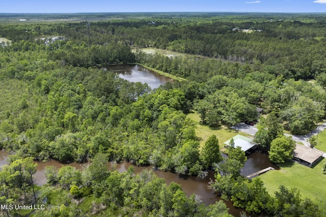 8113 Barron Rd, Moss Point, MS 39562 - view of property location with a forest and a nearby body of water