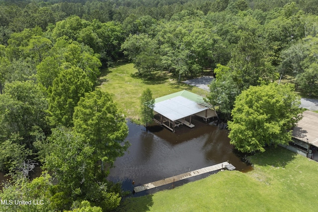 8113 Barron Rd, Moss Point, MS 39562 - bird's eye view of a large body of water and a forest