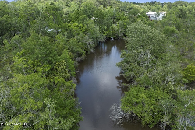 8113 Barron Rd, Moss Point, MS 39562 - water view featuring a forest