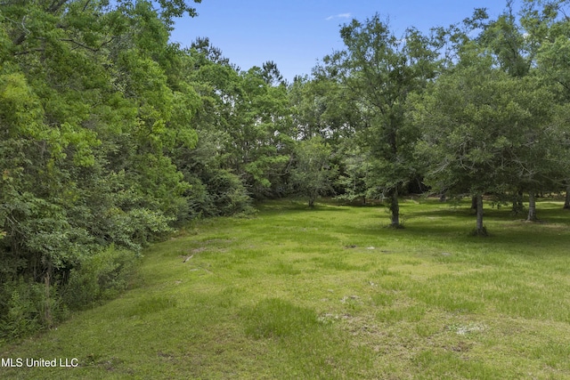 8113 Barron Rd, Moss Point, MS 39562 - view of green lawn featuring a wooded view