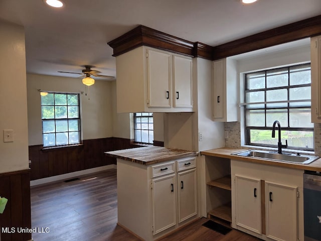 329 Arapaho Ln, Madison, MS 39110 - kitchen with wainscoting, plenty of natural light, dishwashing machine, dark wood-style floors, and white cabinetry
