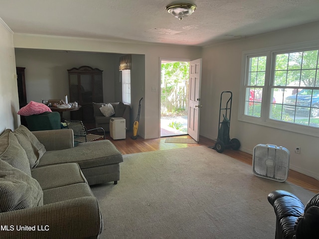 living room with a textured ceiling, ornamental molding, and light hardwood / wood-style flooring