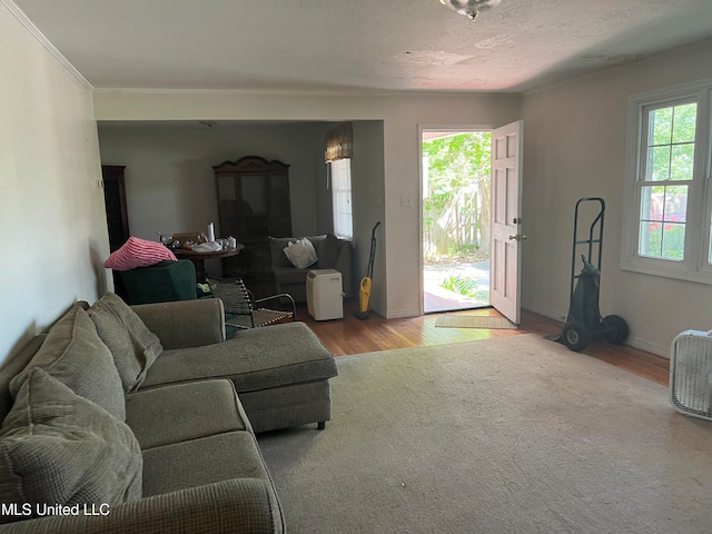 living room featuring ornamental molding, a textured ceiling, light wood-type flooring, and a wealth of natural light