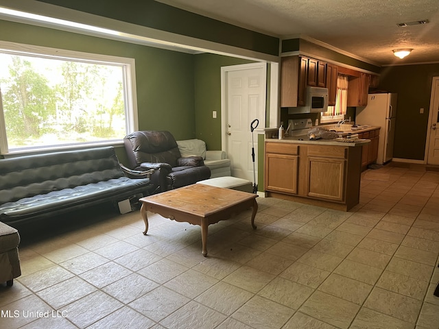 living area featuring crown molding, a textured ceiling, and visible vents